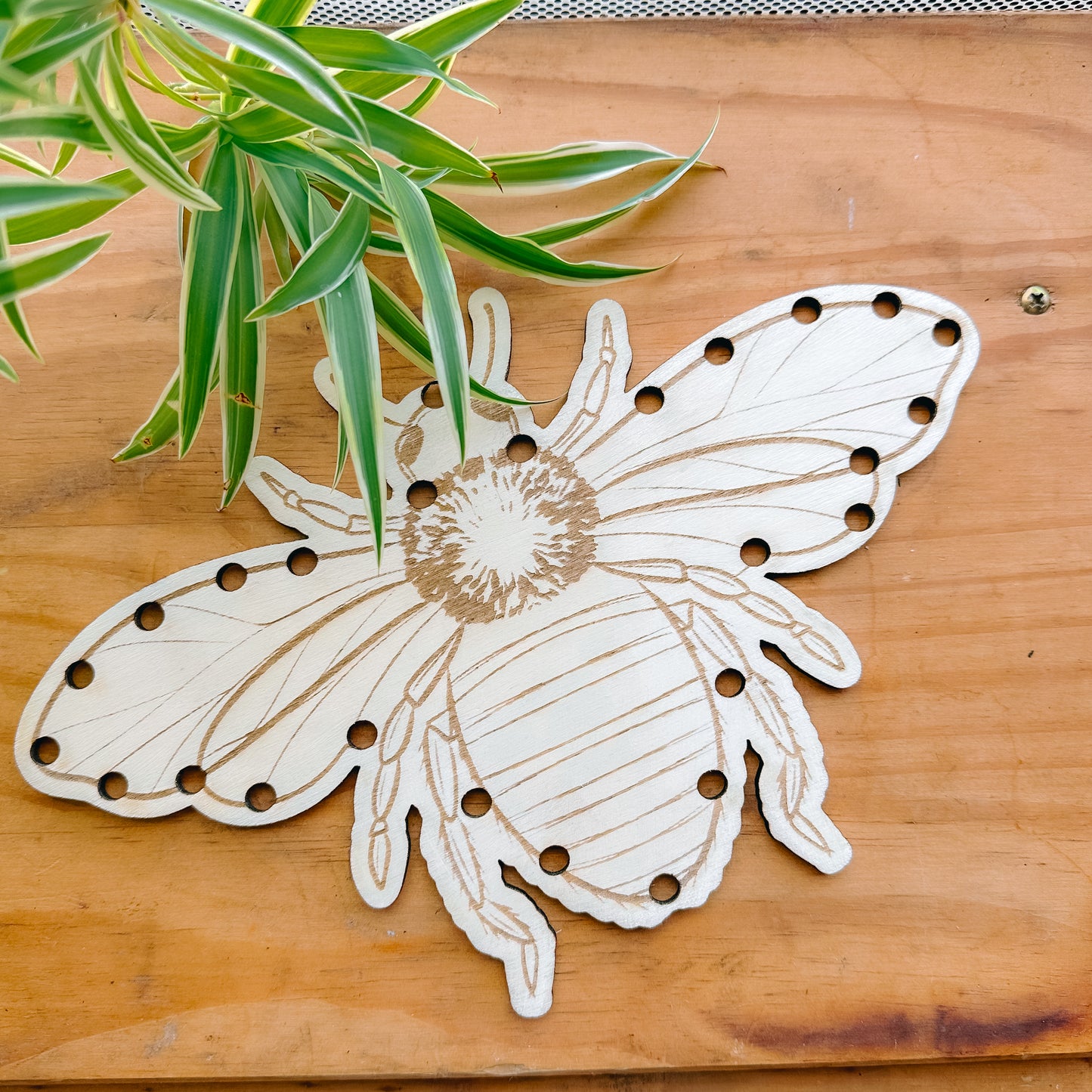 Abeille à lacet