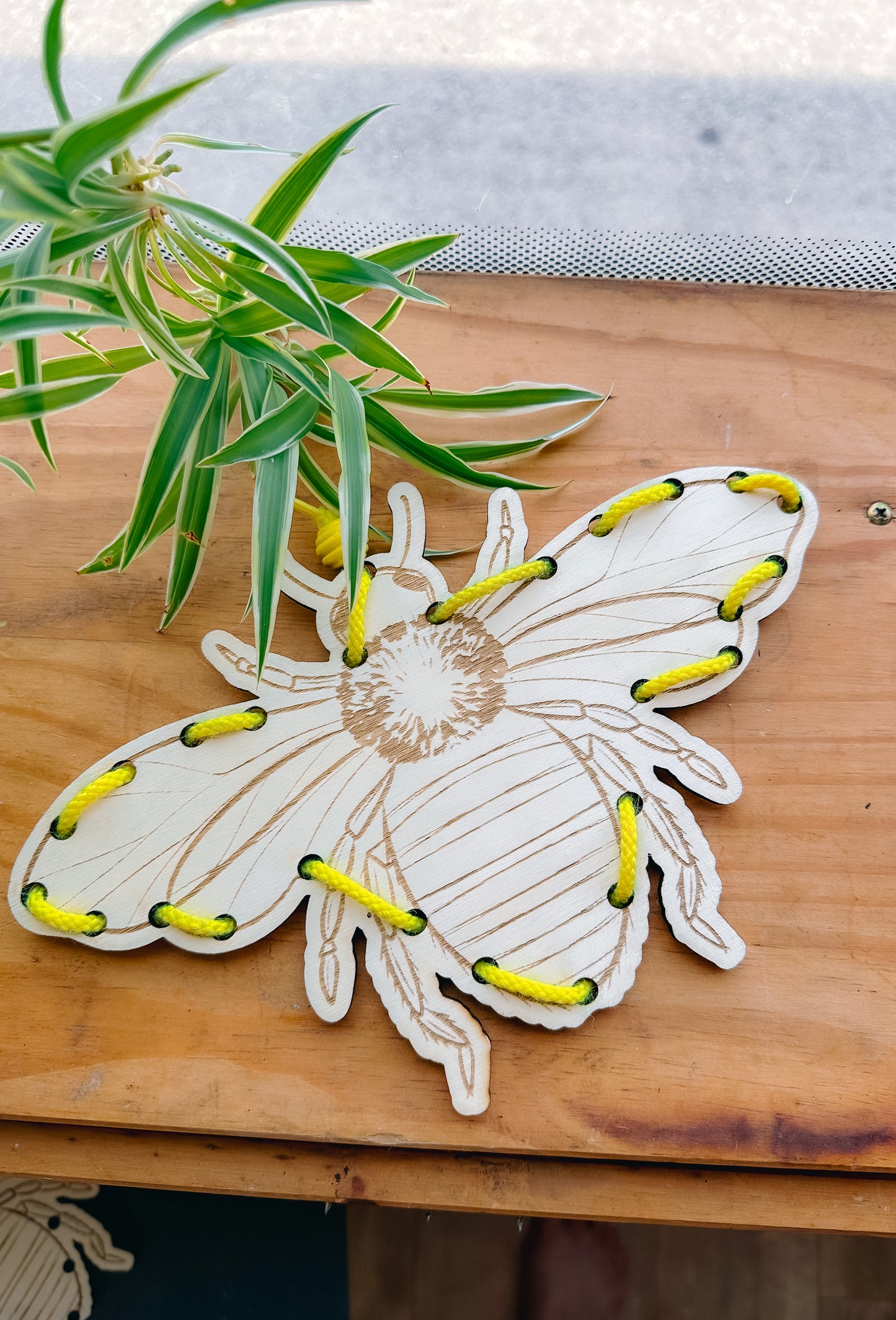 Abeille à lacet